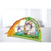 Fisher-Price Rainforest Melodies and Lights Deluxe Gym