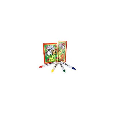Zoo-Jungle Animal Coloring Sets (12 Sets)
