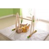 Haba Color Fun Play Gym