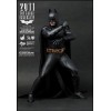 Hot Toys Sideshow Toy Fair 2011 Batman Begins Bruce Wayne Batsuit