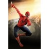 Spiderman 3 Hot Toys Movie Masterpiece 1/6 Scale Collectible Figure Spiderman