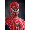 Spiderman 3 Hot Toys Movie Masterpiece 1/6 Scale Collectible Figure Spiderman