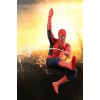 Spiderman 3 Hot Toys Movie Masterpiece 1/6 Scale Collectible Figure Spiderman