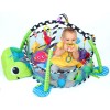 Infantino Grow-with-me Activity Gym and Ball Pit