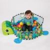 Infantino Grow-with-me Activity Gym and Ball Pit