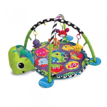Infantino Grow-with-me Activity Gym and Ball Pit