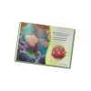 LeapFrog LeapReader Book: Disney·Pixar Finding Nemo, Lost and Found (works with Tag)
