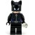 Lego Super Heroes Cat ...