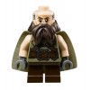 LEGO The Hobbit 79003 An Unexpected Gathering