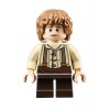 LEGO The Hobbit 79003 An Unexpected Gathering
