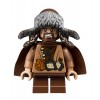 LEGO The Hobbit 79003 An Unexpected Gathering