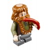 LEGO The Hobbit 79003 An Unexpected Gathering