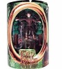 Lord of the Rings Frodo with Ring Fellowship of the Ring