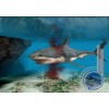 Jaws Unleashed - PlayStation 2