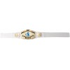 WWE Intercontinental Championship Title Belt