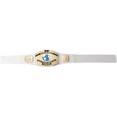 WWE Intercontinental Championship Title Belt