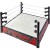WWE Raw Superstar Ring...