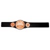 WWE Tag Team Championship Belt