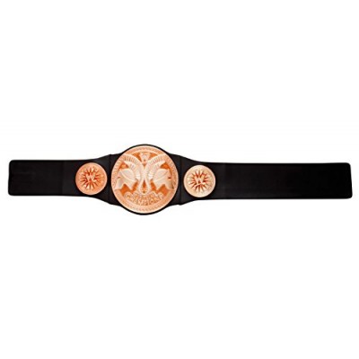 WWE Tag Team Championship Belt