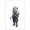 McFarlane Toys Assassin's Creed Connor Action Figure