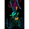 Monster High Great Scarrier Reef Down Under Ghouls Posea Reef Doll