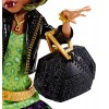 Monster High New Scaremester Clawdeen Wolf Fashion Doll