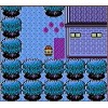 Pokemon Gold