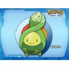 Pokemon Pearl Version