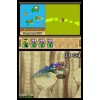 Pokemon Ranger: Guardian Signs