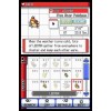 Pokemon SoulSilver Version