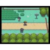 Pokemon SoulSilver Version