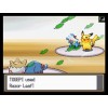 Pokemon SoulSilver Version
