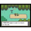 Pokemon SoulSilver Version