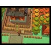 Pokemon SoulSilver Version