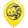 Pioneer National Latex DreamWorks 12" How To Train Your Dragon 2 6 Balloons, Assorted