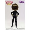 Pullip Dolls Taeyang Willy Wonka Charlie Chocolate Factory 14" Fashion Doll