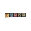Disney Frozen Charm Bracelet - Five Interchangeable Charms