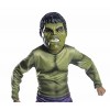 Rubie's Costume Avengers 2 Age of Ultron Child's Hulk Costume, Large