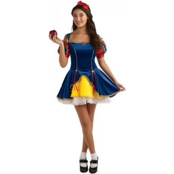 Rubie's Teen Sensations Fairy Tale Princess Costume Dress with Brooch and Headband, Multicolor, Standard