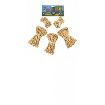 Wizard of Oz Straw Kit Costume Accessory