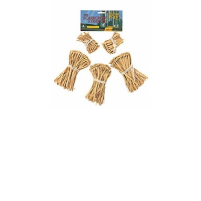 Wizard of Oz Straw Kit Costume Accessory