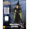 Wizard of Oz Wicked Witch of The West Costume, Medium One Color