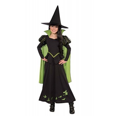 Wizard of Oz Wicked Witch of The West Costume, Medium One Color