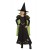 Wizard of Oz Wicked Wi...
