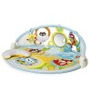 Skip Hop Explore-and-More Amazing Arch Activity Gym, Multi