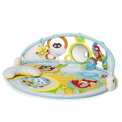 Skip Hop Explore-and-More Amazing Arch Activity Gym, Multi