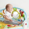 Skip Hop Explore-and-More Amazing Arch Activity Gym, Multi