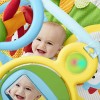 Skip Hop Explore-and-More Amazing Arch Activity Gym, Multi