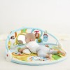 Skip Hop Explore-and-More Amazing Arch Activity Gym, Multi