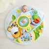 Skip Hop Explore-and-More Amazing Arch Activity Gym, Multi